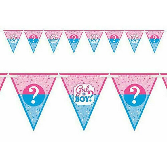 15ft Girl Boy Baby Shower / Gender Reveal Pennant Flag Banner Party Decorations - Picture 1 of 7